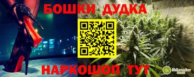 стафф Пенза