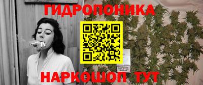 стафф Пенза